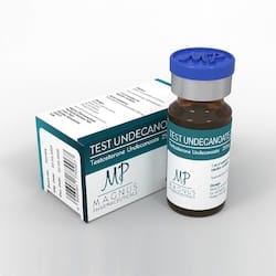 Testosteron Undecanoat kaufen